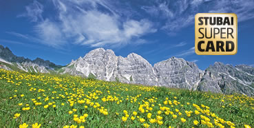 Apartments Haus Holzknecht - Ferienwohnungen - Neustift im Stubai - Stubai Super Card